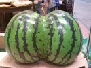 1598118218127.webp