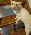 1654155763537.png