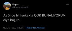 soslyalmed.jpg