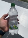 IMG_3759.jpeg