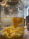 IMG_3729.jpeg