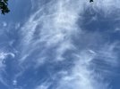 IMG_4431.jpeg