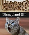 FB_IMG_1692555278651.jpg
