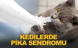1698074635876.webp 1698074635876.webp