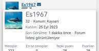 buraya yazmişsin.jpg