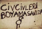 civciv.jpg