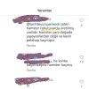 Screenshot_20231114_205926_com.instagram.android_edit_493224255457031.jpg