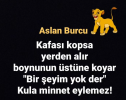 1703282818116.png