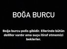 boğa.jpg