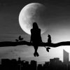 tumblr_6e5ae89049bfcbcad5935eba46039c1d_a97e3056_540.jpg