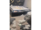 1708259485528.png 1708259485528.png