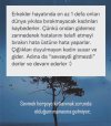 sevse gitmezdi.jpg