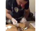 1709436854718.png 1709436854718.png