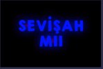 sevisah.JPG