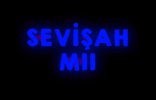 sevişelim.jpg
