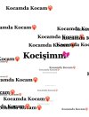 kocam.jpg