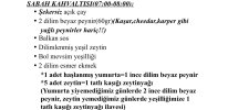IMG_2231.jpeg