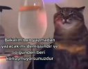 tumblr_a06f782660ba246c05b7c50e7c064fd3_5284b1f9_540.jpg