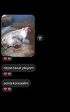 IMG_0255.jpeg