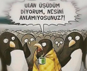 1734630116127.png