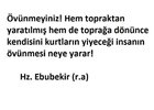 FB_IMG_1736197017322.jpg