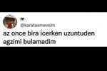 117310418.jpg