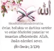 Screenshot_20250317-225435-1.webp