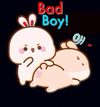 IMG_6305.gif