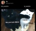 Screenshot_20250402_211441_com.instagram.android_edit_179797606696521.jpg