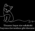 FB_IMG_1743751554157.jpg