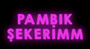 Bildschirmfoto 2025-04-09 um 23.06.39.png