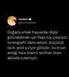 Screenshot_20250410_214633_com.instagram.android_edit_615969824491945.jpg