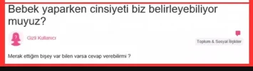 63366312.webp