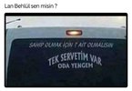 74122848.jpg