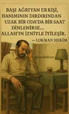 6788330924.webp 6788330924.webp