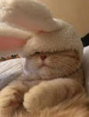 IMG_6460.jpeg