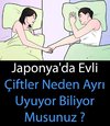 image.jpeg image.jpeg