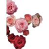 1749751423718.png