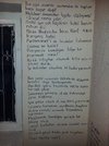 IMG_9851.jpeg