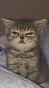 image.jpeg