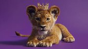 Schönes Baby Löwe mit einer goldenen Krone, das auf einem lila Hintergrund  liegt | Premium KI-generiertes Bild