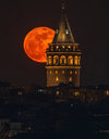 IMG_9486.jpeg