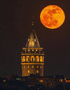 IMG_9488.jpeg