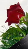 1000133607.webp