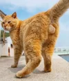 Screenshot_20260221_215407_com.instagram.android_edit_1047999743129147.webp
