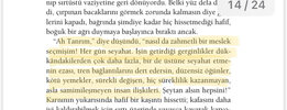 IMG_1867.jpeg