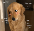 d4ad1c68-426d-4a39-92da-9757b5cd9912.png