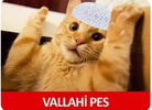 1779169803093.png