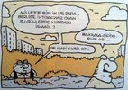 images (13).jpeg
