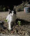 IMG_3015.jpeg